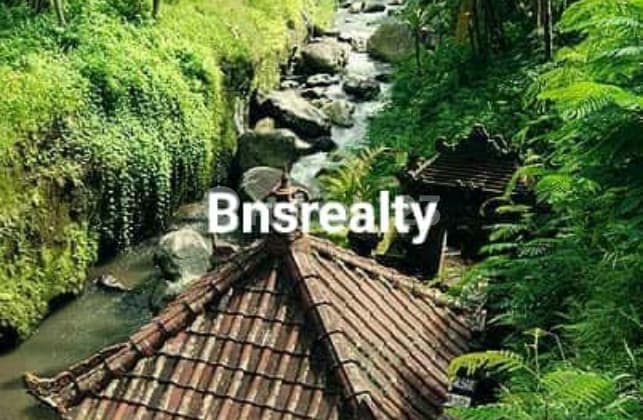 Villa Lokasi Payangan