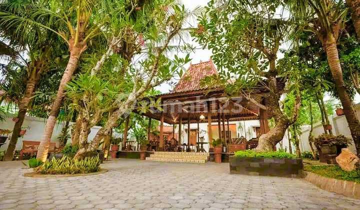 Homestay Klasik Joglo Jogja dengan Luas 1000 Meter