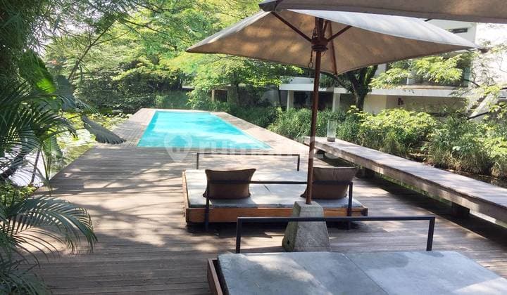 Compound for Lease nice and modern house with environmentally friendly at Jati Padang 0817688xxxx