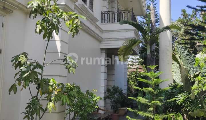 Luxury house in European classic style in Suryalaya.