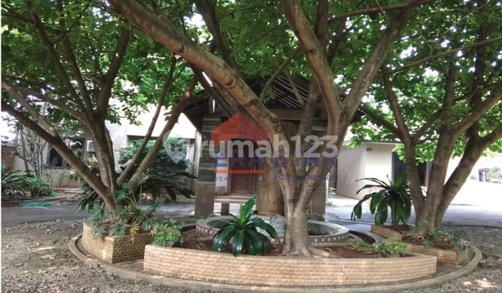 Beli Tanah harga MURAH dapat RUMAH MEWAH dan Luas di Tapos, Depok Jabar