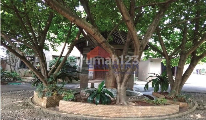 Beli Tanah harga MURAH dapat RUMAH MEWAH dan Luas di Tapos, Depok Jabar