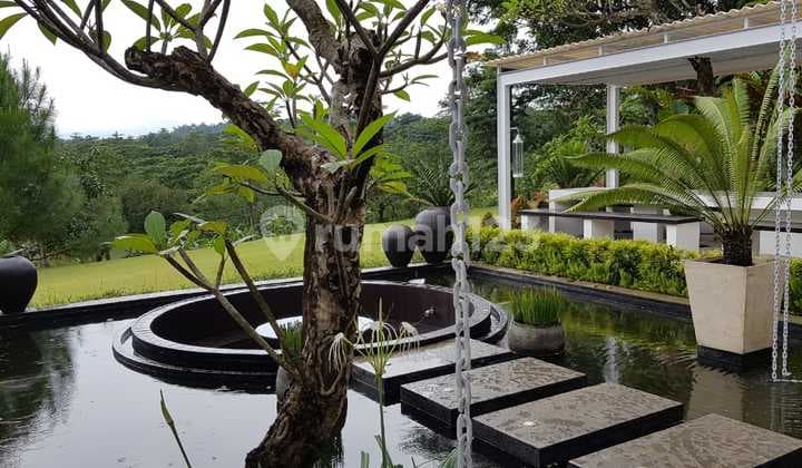 Villa at Taman Dayu Pandaan, Golf Mansion, Freehold Certificate, Luxury White Tropical Resort