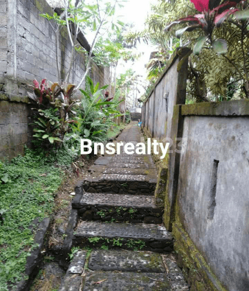 Kutuh Location Villa