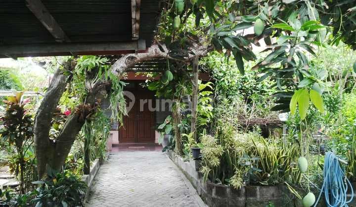 Tanah Luas 1.400 M2, View Laut, di Berawa, Canggu, Bali