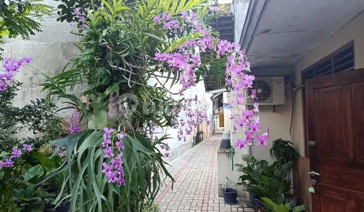 House + Boarding House in Wirobrajan, 10 Strategic Rooms in Bugisan, Main Road but Comfortable