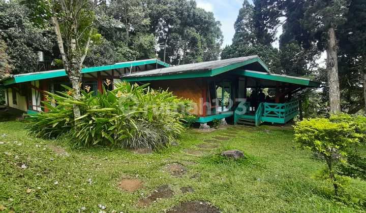 Villa Asri dan Nyaman Harga Murah di Ciloto, Puncak Bogor