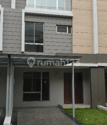 gold island symponi 6 x 15 m