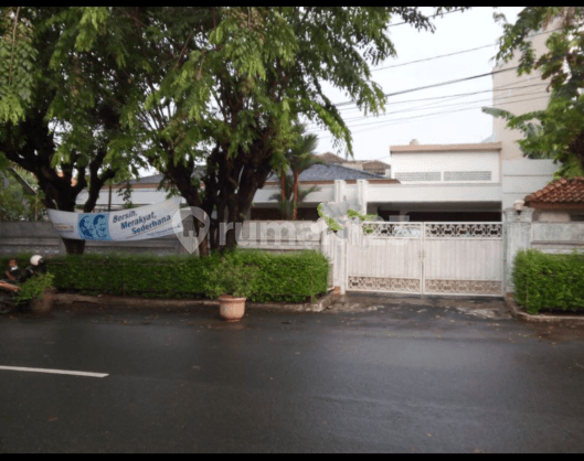 Dijual Rumah Asri Lokasi Strategis Cocok Untuk Kantor Dan Resto Dan Caffe Harga Nego Sampai Jadi