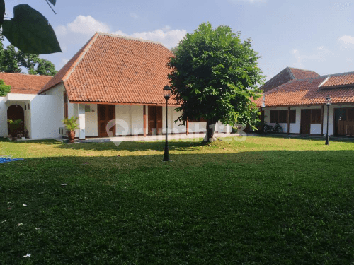 Rumah Asri dan Hijau di Kotabaru, Kawasan Premium & Jantung Kota Yogyakarta. Lingkungan Tenang & Nyaman. Jarang Ada. untuk Investasi, Laku Keras bila Disewakan Utk Bisnis/ Usaha