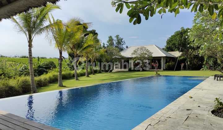 TROPYCAL VILLA WITH A CHARMING VIEW OF GREENRICE FIELDS PERERENAN