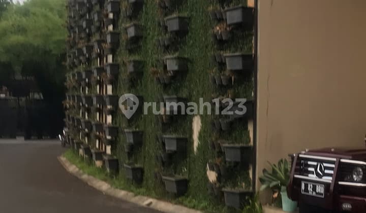 Modern Tropical Design House