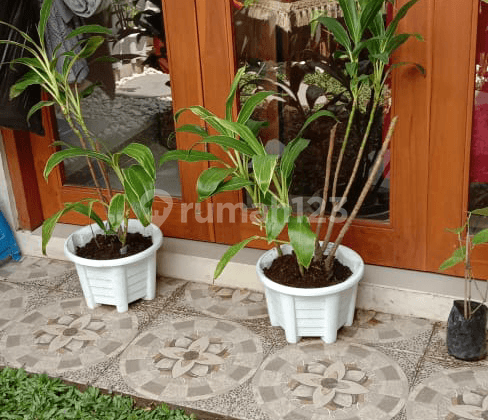 Rumah 2 lantai dan masih baru hanya 15 menit dari Seminyak Bali