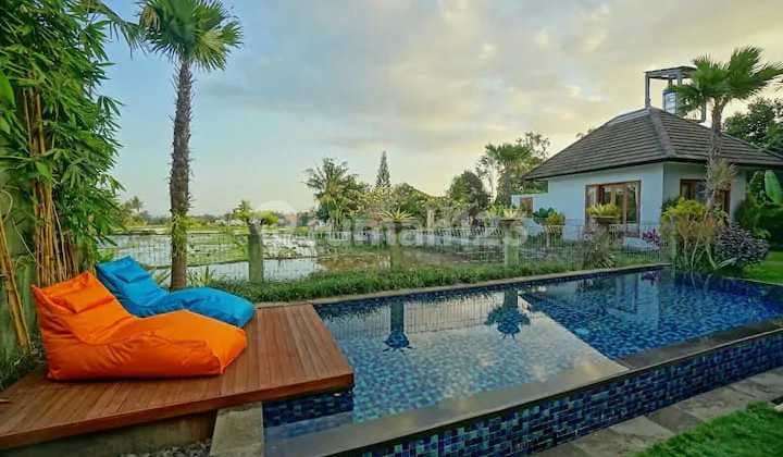 MODERN VILLA WITH RICE FIELD VIEW UBUD
