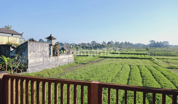 At Villa Classic Ubud View of rice fields
