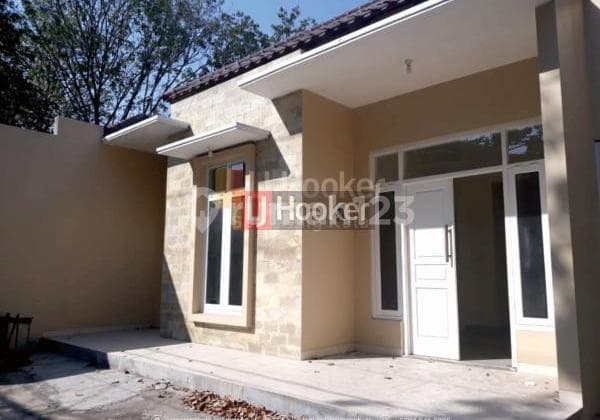 Rumah Siap Pakai Cocok Untuk Kantor Di Daerah Pandanaran