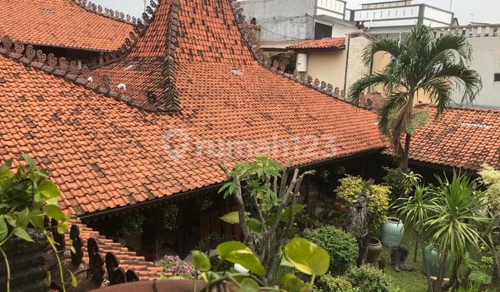 Rumah Bagus Siap Huni di Lebak Bulus