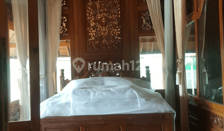 Di Rumah Joglo owner mau plng kampung