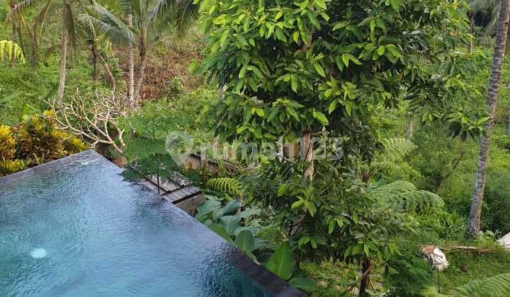 Villa Complek view jungle Payangan