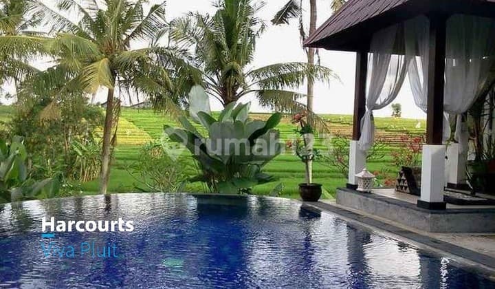 Villa Mustika Juma, Canggu, Bali. Cheap Prices Can Be Negotiated!