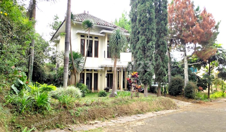 Villa Kusuma Agro Batu, Dekat Museum Angkut, Jatim Park 1