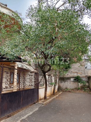 Rumah Bagus Pejaten Barat Area