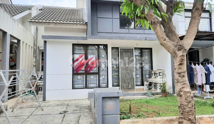 Fortune Spring Fortune Spring