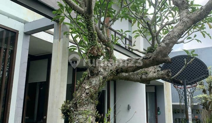 Rumah di istana dieng malang