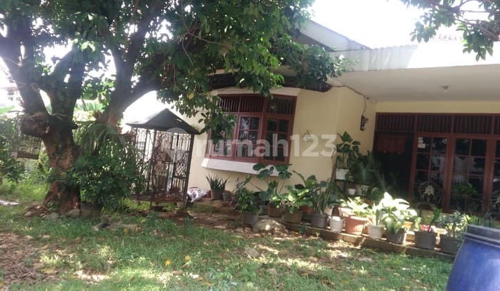 Rumah Asri Halaman Luas Dan Lokasi Strategis di Cilodong Depok