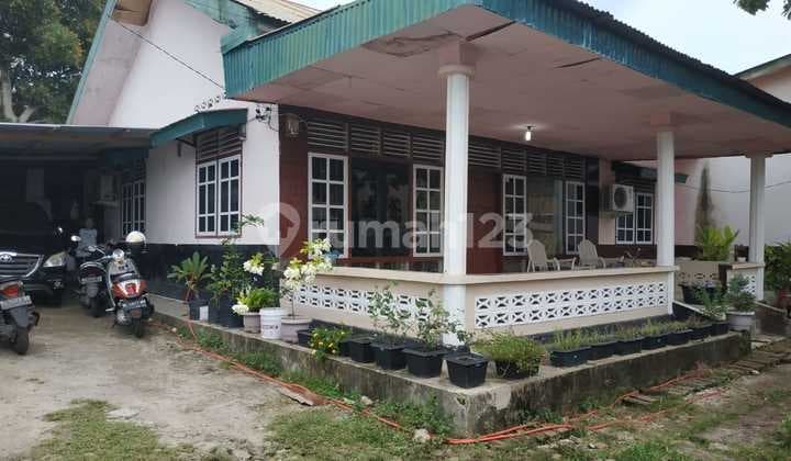 House in a Strategic Location Suitable for a Guest House