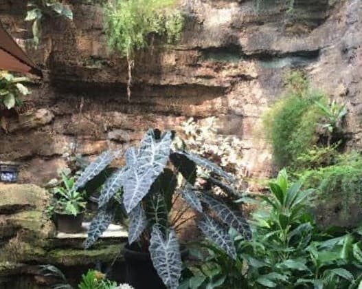 Nyaris NJOP Rumah Damai Kebayoran Baru