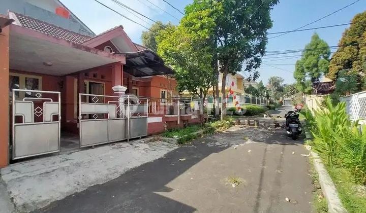 Rumah Murah Hoek Bogor Baru Dekat Pakuan Pajajaran Botani Jagorawi