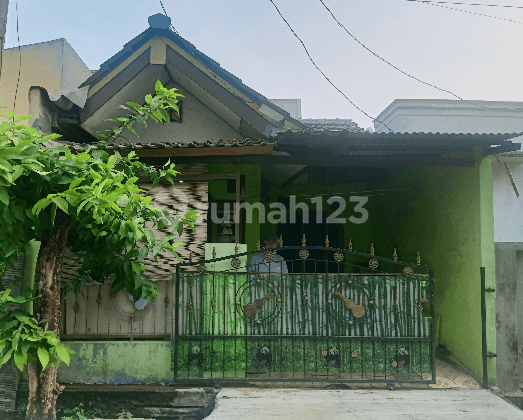 Rumah Murah di Perumahan Babelan Oetama Sejahtera, Kebalen Babelan Bekasi Rumah Murah di Perumahan Babelan Oetama Sejahtera, Kebalen Babelan Bekasi