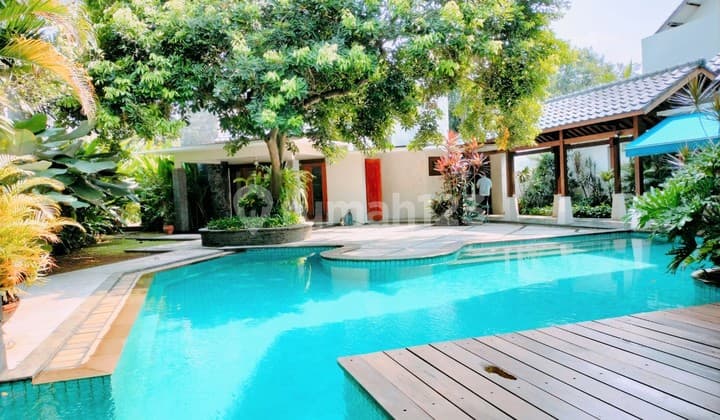 Tropical, lush and spacious house in Cilandak, close to JIS, French School, MRT Station