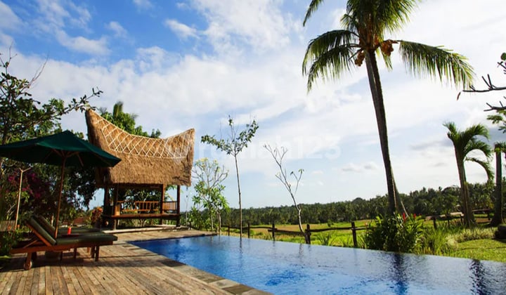 Villa Unik Suasana Pedesaan View Sawah di Ubud