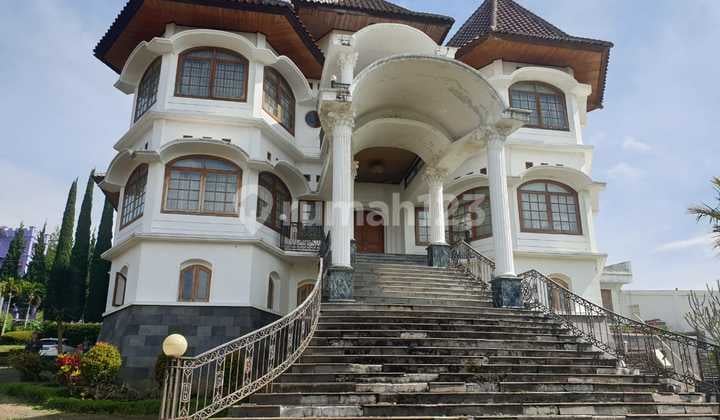 Rumah Lux Villa Istana Bunga, Castle