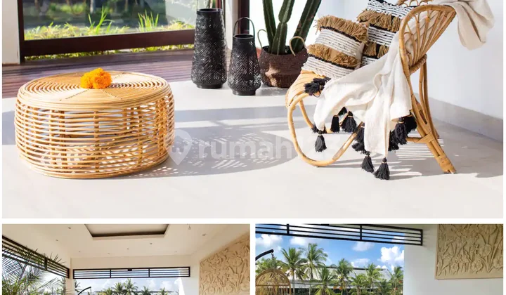 Cheap modern minimalist 3 br villa in Berawa Canggu