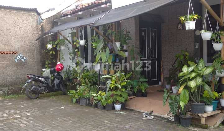 MURAH! Rumah Konsep Tropis Minimalis Strategis Dekat Pusat Kota Cianjur