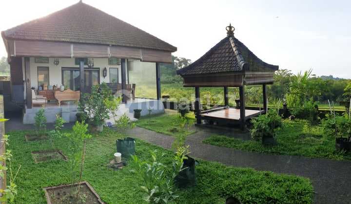 Semi Villa View Special, Near Bangkung Bridge, Petang Badung