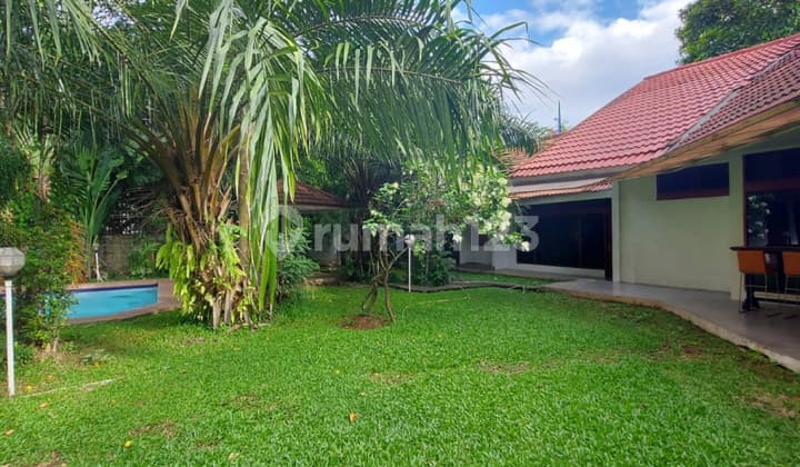 RUMAH TANAH LUAS dan ASRI at Jl KEMANG SELATAN, JAKSEL