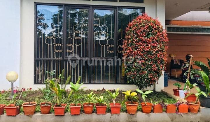 Rumah Hortikultura Asri Lembang (Belakang RM Asep Strawberry dan RM Laksana)