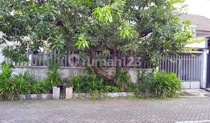 Rumah Hitung Tanah !!! di Kutisari Indah Utara, Luas 11 x 22 m2 Rumah Hitung Tanah !!! di Kutisari Indah Utara, Luas 11 x 22 m2