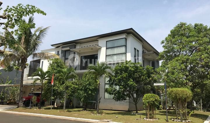 Wide House Swimming Pool Silk Magnolia Alam Sutera