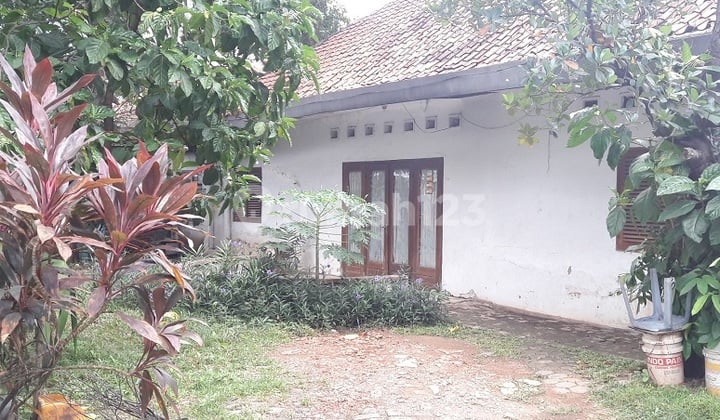 RUMAH TUA DI JAKARTA PUSAT, HITUNG TANAH SAJA, ZONA CAMPURAN,