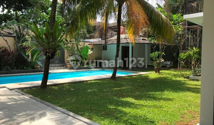 Big and Beautiful House