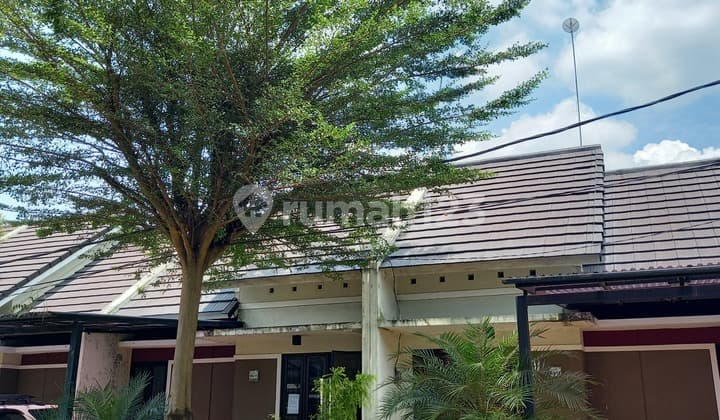 Disewakan rumah asri di pusat kota cikampek