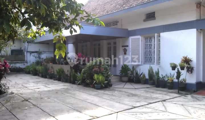 For Sale Dago Wing House