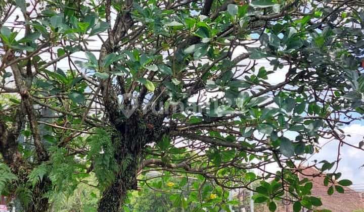 Rumah cocok untuk usaha/kantor posisi Hoek, lokasi Premium di Bandung. Mainroad Riau