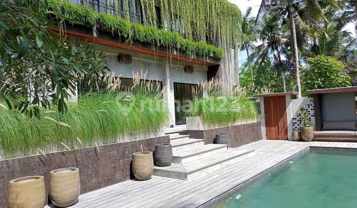 VILA BESAR DAN MEWAH DI UBUD SIAP HUNI