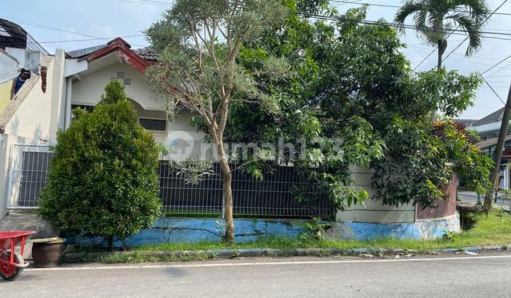 Rumah Pinggir Jalan Simpang Panji Suroso Araya